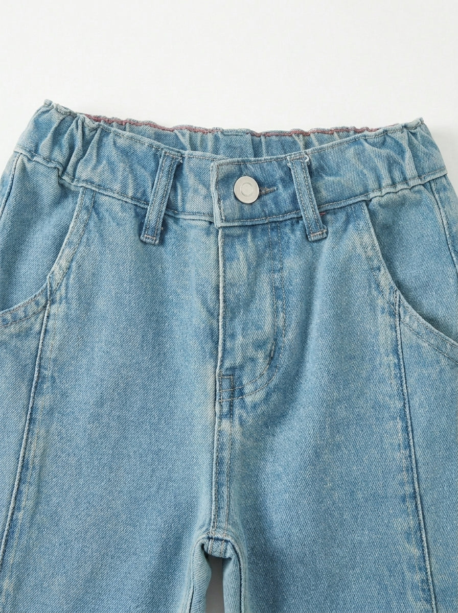 BUTTER FLY EMBROIDED | BLUE(LIGHT)