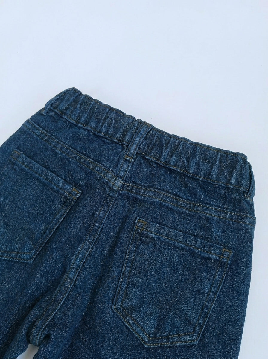 EMBROIDED BAGGY PANT | BLUE